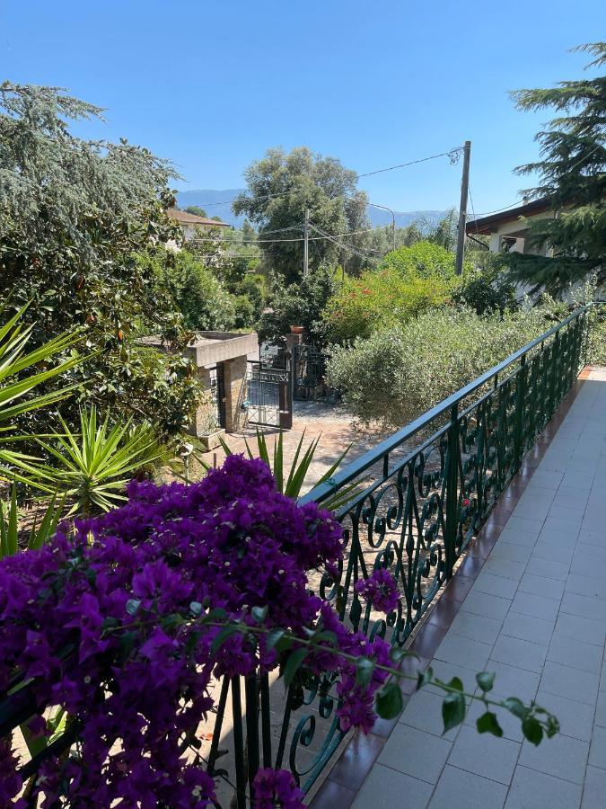 Agriturismo Al Gallo Verde Altavilla Silentina Exterior photo